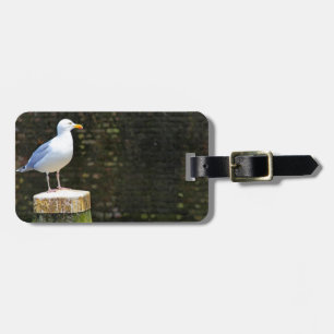 Küstenmöwen-Vogel- und Ozean-Wildlife-Foto Gepäckanhänger