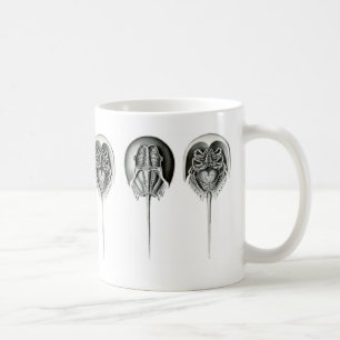 Küstenpfeilschwanzkrebs Kaffeetasse