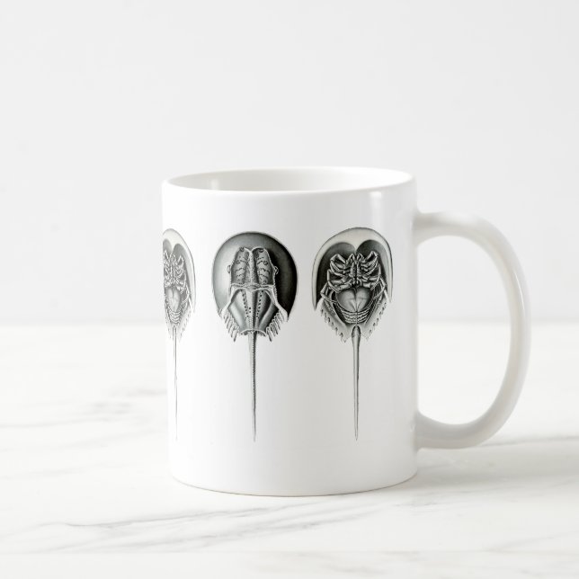 Küstenpfeilschwanzkrebs Kaffeetasse (Rechts)
