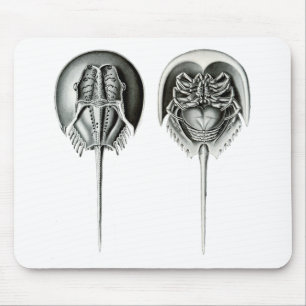 Küstenpfeilschwanzkrebs Mousepad