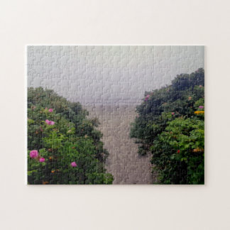 Küstenrosen führen zum Strand