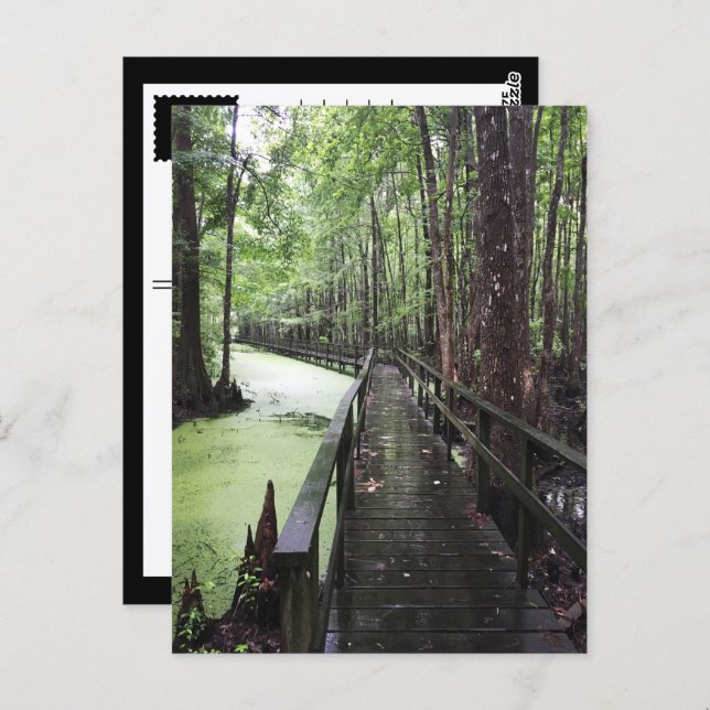 Küstenschutzgebiet Postkarte (Vorne/Hinten)