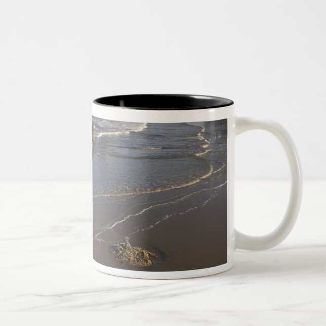 Küstensicht, Bandon, Oregon Zweifarbige Tasse (Rechts)