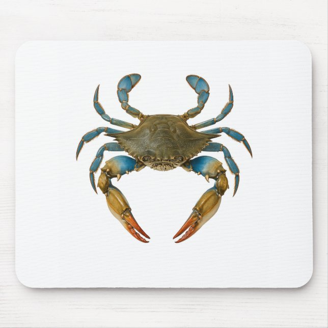 Küstenzone Mousepad (Vorne)