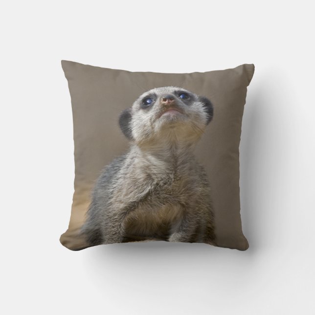 Kute Kat Pillow Kissen (Vorderseite)