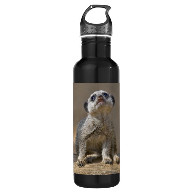 Kute Kat Trinkflasche (Vorderseite)