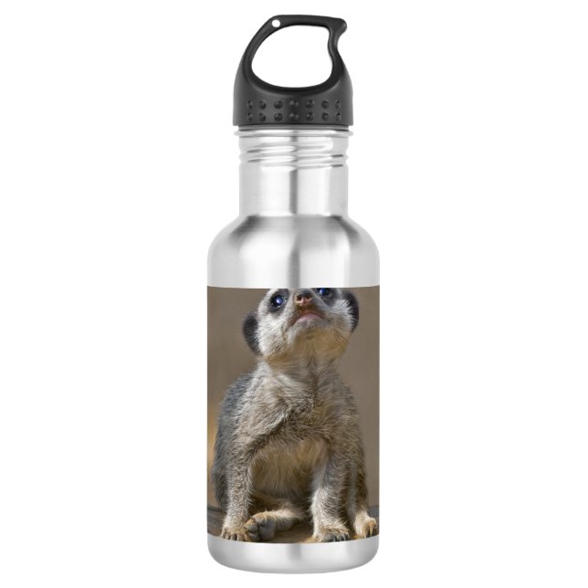 Kute Kat Trinkflasche (Vorderseite)