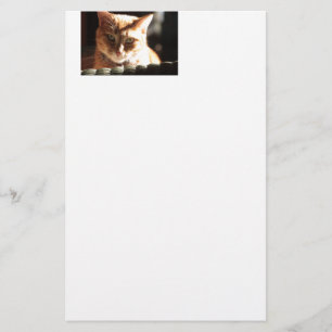 Kute Kitty! Briefpapier