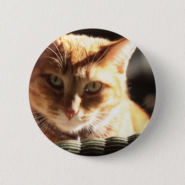 Kute Kitty! Button (Vorderseite)