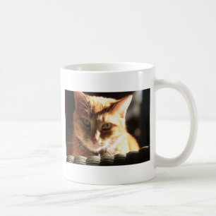 Kute Kitty! Kaffeetasse