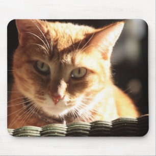 Kute Kitty! Mousepad