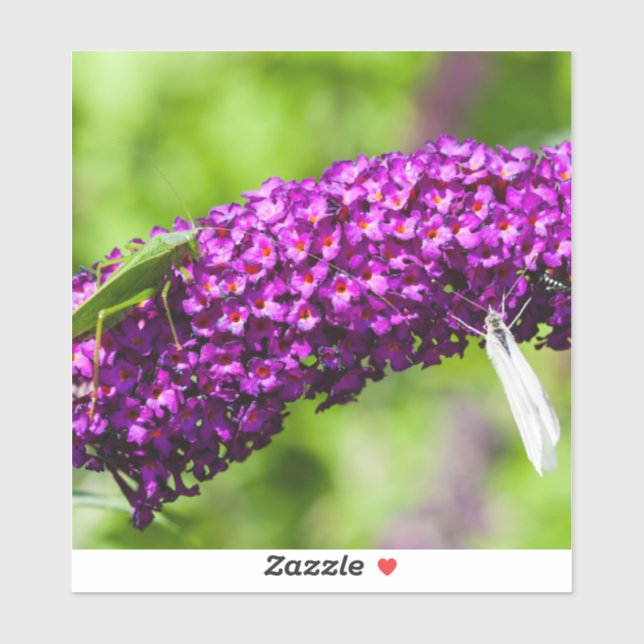 Kuttenenergie Aufkleber (Blatt)