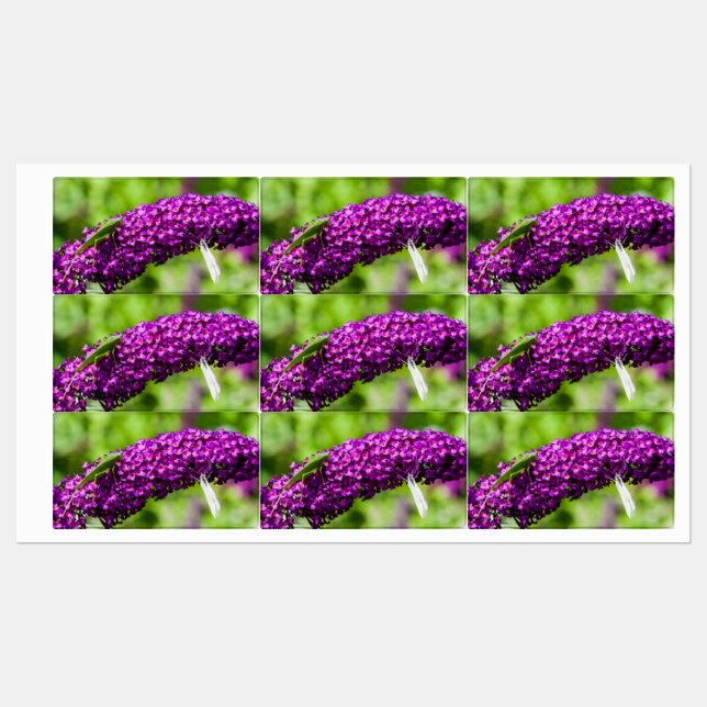 Kuttenenergie Etiketten (Blatt)