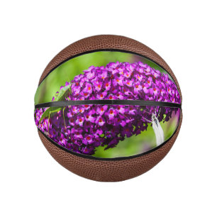 Kuttenenergie Mini Basketball