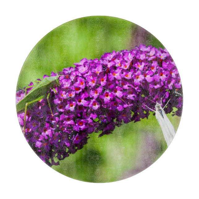 Kuttenenergie Schneidebrett (Vorderseite)