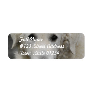 Kuvasz Dog Breed Mailing Labels