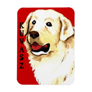 Kuvasz Farbblock Magnet