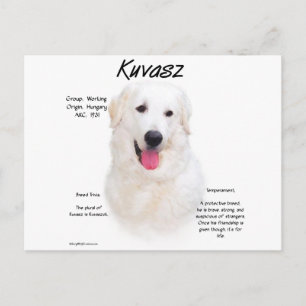Kuvasz-Geschichtsdesign Postkarte
