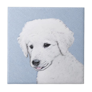 Kuvasz-Malerei - Niedliche Original Hunde-Kunst Fliese