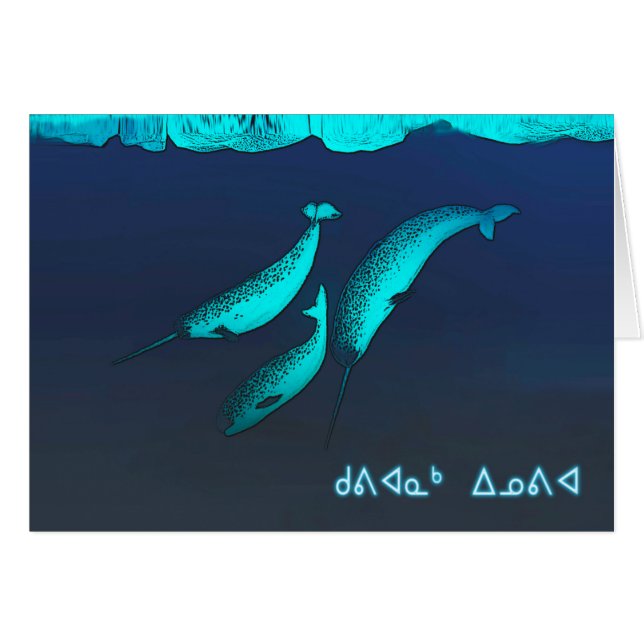 Kuvianak Innovia - Narwhal (Devant horizontal)