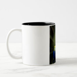 Kuzoura und Crayfish Girl Zweifarbige Tasse