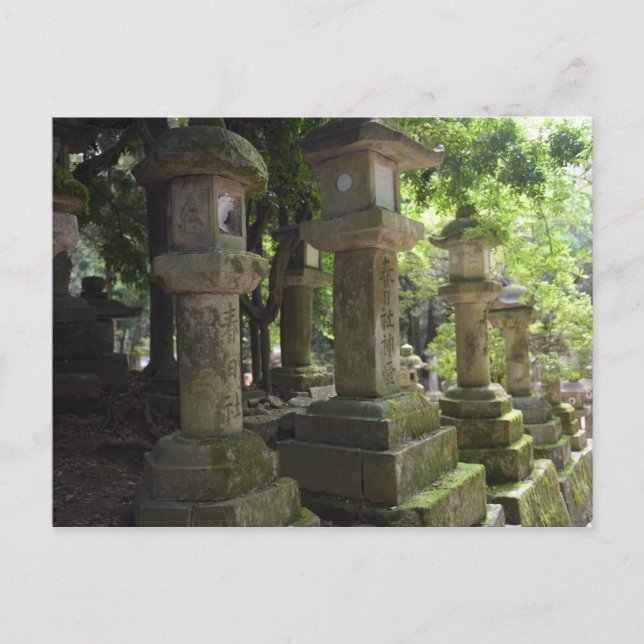 Kyoto Japan Postkarte (Vorderseite)