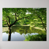 Kyoto Japan Reflections