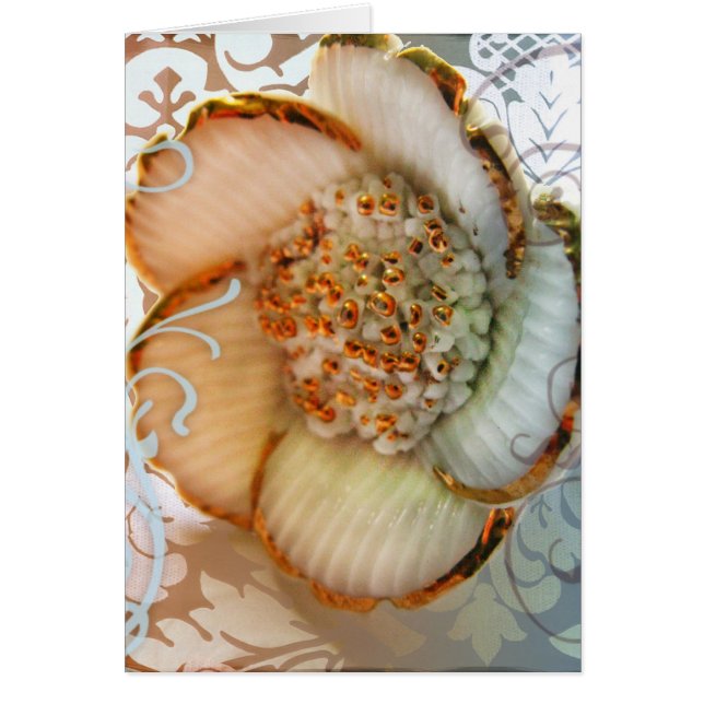 Kyoto Kirschblüte (Vorne)