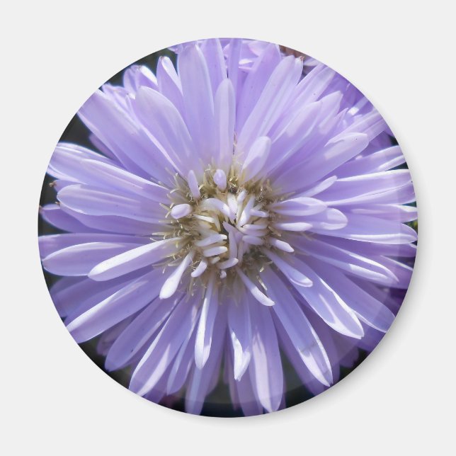 Kyrene Magnet (Vorne)