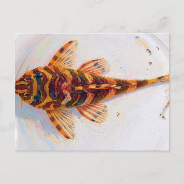 L134 Pleco Leopard Frosch  Postkarte (Vorderseite)