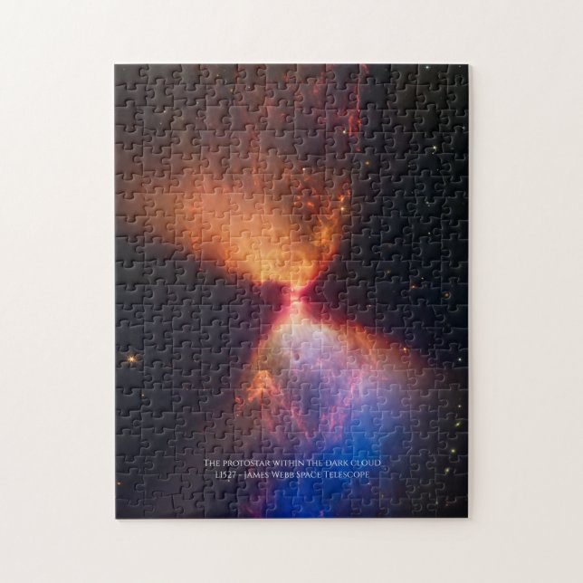 L1527 und Protostar - James Webb Space Telescope (Vertikal)