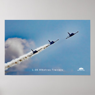 L-39 Albatros Trainer Jets über Higgins Lake, MI Poster