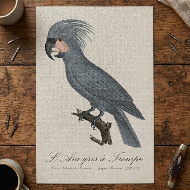 L’Ara gris à Trompe / Gray Palm Cockatoo (Great Black Palm Cockatoo, Probosciger aterrimus. Jigsaw Puzzle)