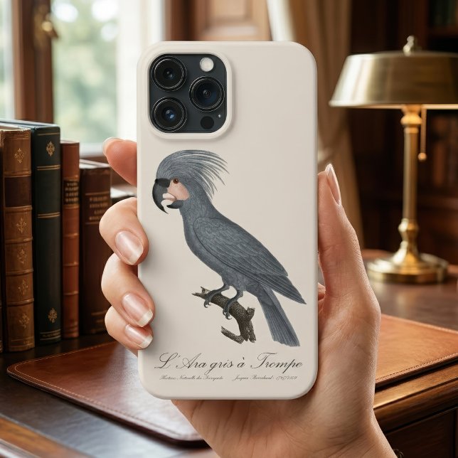 L’Ara gris à Trompe / Gray Palm Cockatoo Case-Mate iPhone Hülle (Great Black Palm Cockatoo, Probosciger aterrimus. iPhone Case)