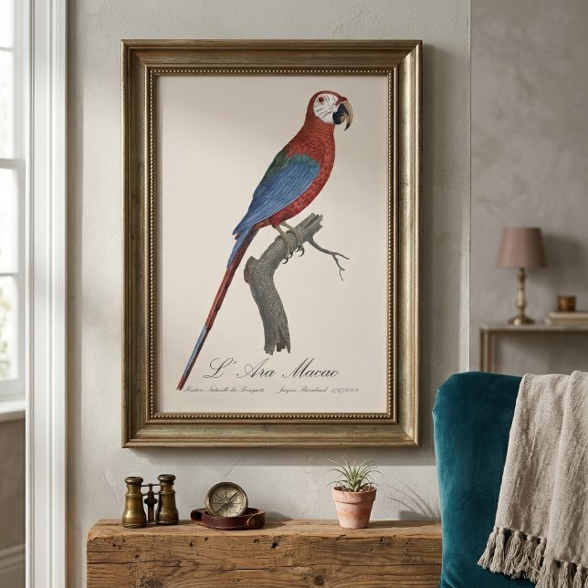 L' Ara Macao / Rot und Grün Fotodruck (Red-and-green Macaw, Ara chloropterus. Photo Print)