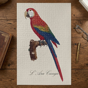 L' Ara Macao / Scarlet Macaw