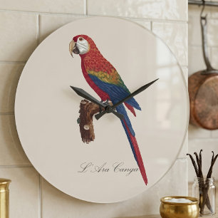 L' Ara Macao / Scarlet Macaw Große Wanduhr