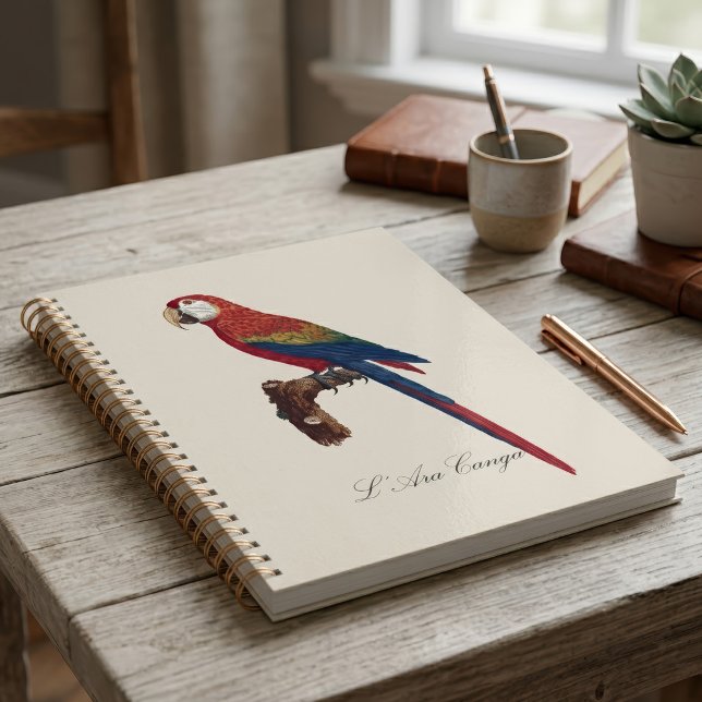 L' Ara Macao / Scarlet Macaw Planer (Scarlet Macaw or Red-Breasted Macaw, Ara macao. Planner)