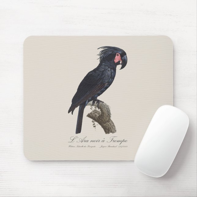 L' Ara Noir a Trompe / Palm Cockatoo Mousepad (Mit Mouse)