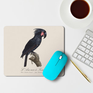 L' Ara Noir a Trompe / Palm Cockatoo Mousepad