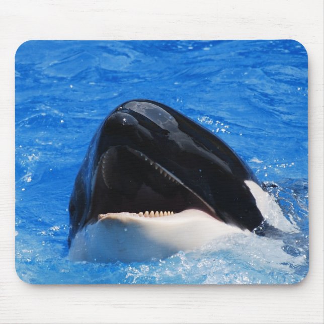 La baleine retentit le tapis de souris (Devant)
