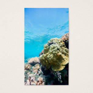 La barrière de corail
