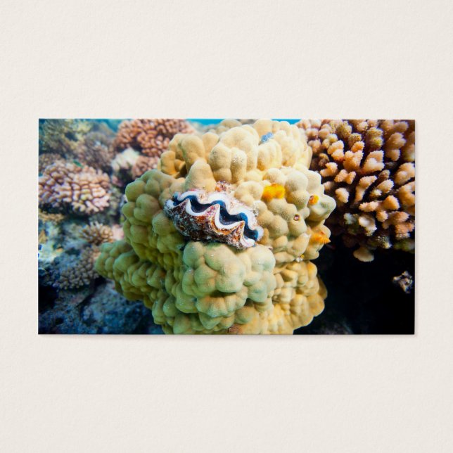 La barrière de corail (Devant)