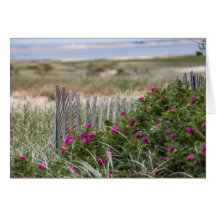 La barrière de plage de Chatam Light