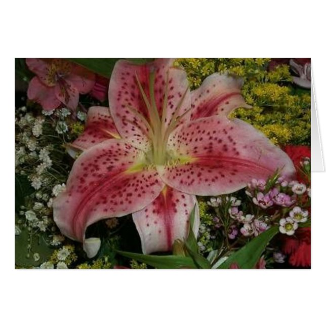 La beauté de la nature (Devant horizontal)