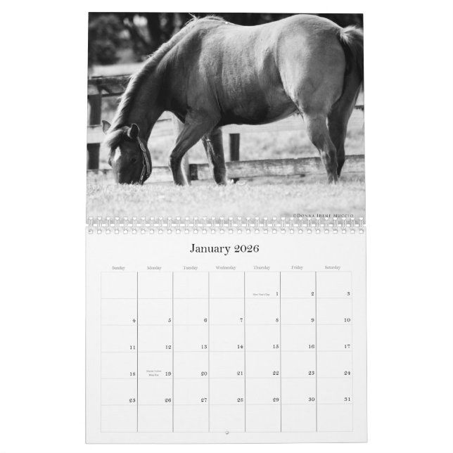 La beauté du calendrier de chevaux (Jan 2026)