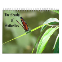 La beauté du calendrier de papillons