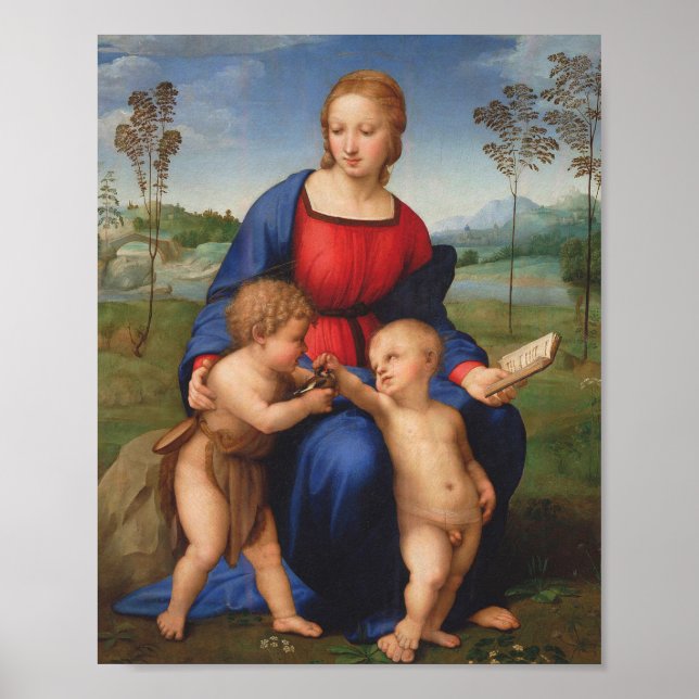 La Belle Jardiniere 1507 Poster (Vorne)