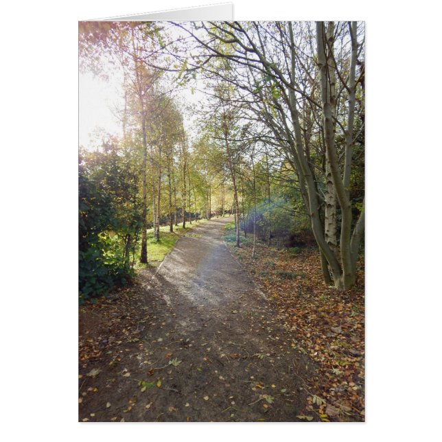 La belle route (Devant)