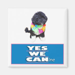 La BO Obama OUI NOUS aimant canin, carré